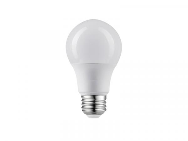 A19 LED Replacement Lamp