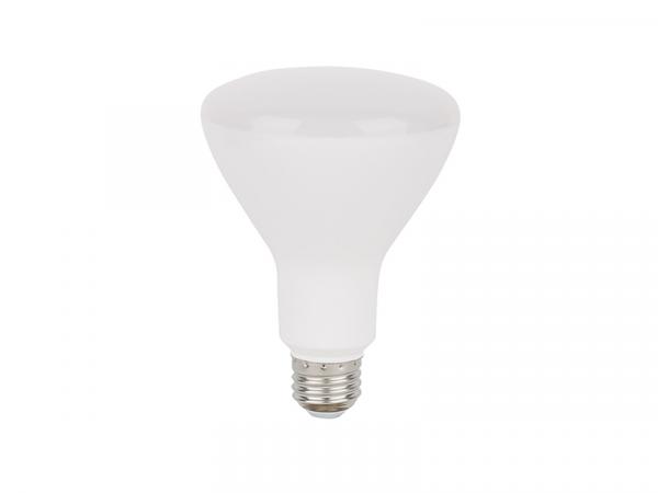 BR30 Reflector LED Replacement Lamp