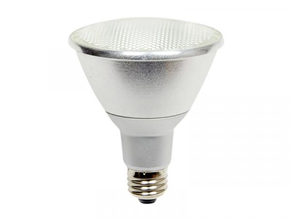 PAR30 LED Replacement Lamp