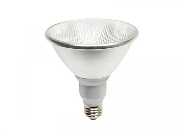 PAR38 LED Replacement Lamp