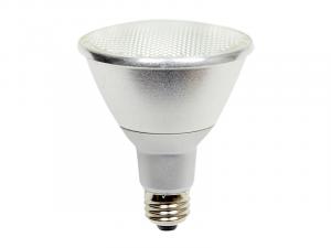 PAR30 LED Replacement Lamp