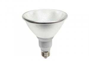PAR38 LED Replacement Lamp
